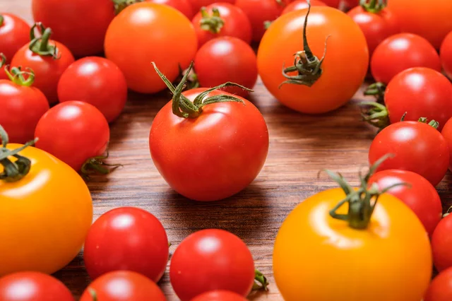 付加価値の高いトマトの栽培に、農業未経験の企業が挑戦。