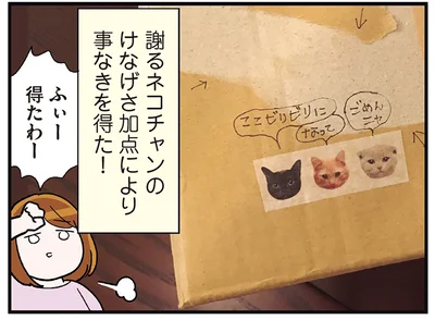 謝るネコチャン
