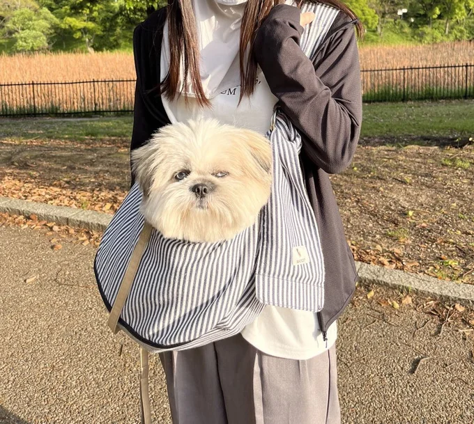当時3歳だったちゃちゃちゃん▶フカフカです（⇒次へ）