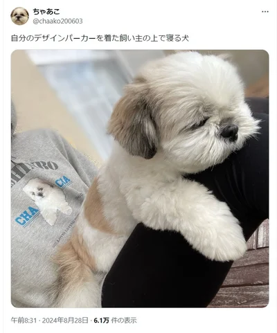 ちゃちゃちゃんのデザインのパーカーです！▶きりっとした表情も見せてくれました（⇒次へ）
