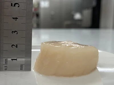 大粒のホタテのみを厳選！厚みは２cm以上ありました
