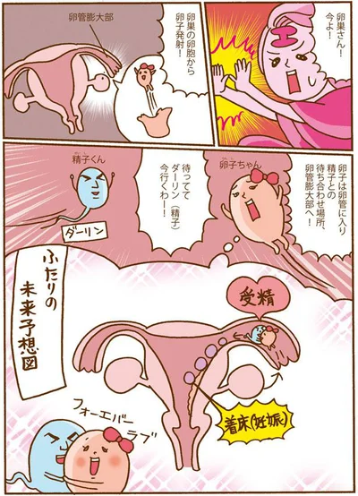 卵巣さん！今よ！