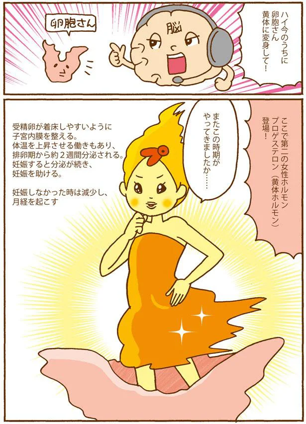 第二の女性ホルモン　プロゲステロン