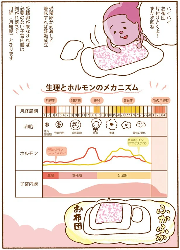 また次回ね
