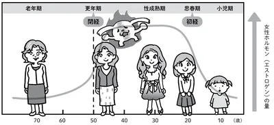 ライフステージと女性ホルモンの量