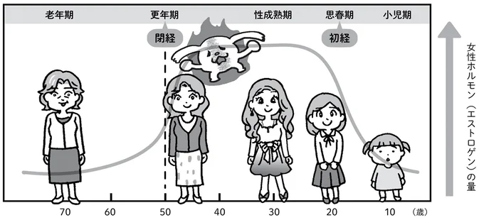 ライフステージと女性ホルモンの量