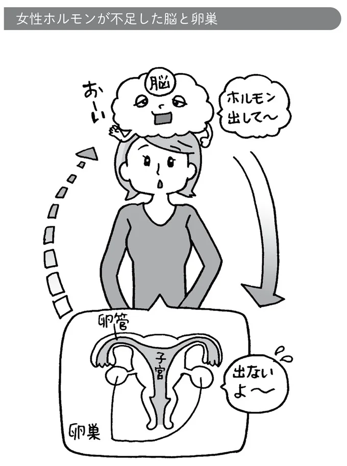 女性ホルモンが不足した脳と卵巣