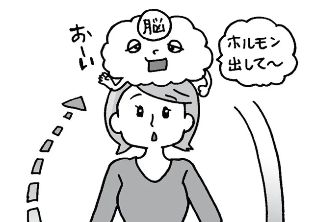 ライフステージで変化する女性ホルモン。減少が不調の原因に／死んでも女性ホルモン減らさない!（5）