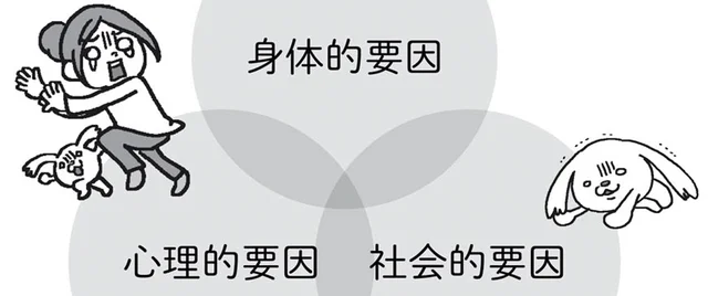 家庭や職場でのストレスが関係することも！更年期を引き起こす要因／死んでも女性ホルモン減らさない!（6）