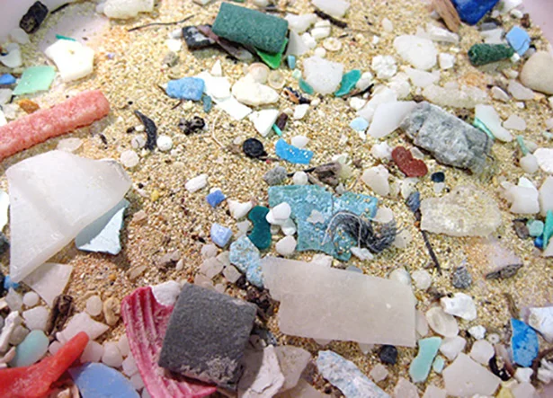 【写真】マイクロプラスチックのもととなるのは生活ゴミ