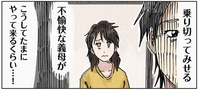 乗り切ってみせる！不愉快な義母のアポなし突撃／どちらかの家庭が崩壊する漫画1（17）