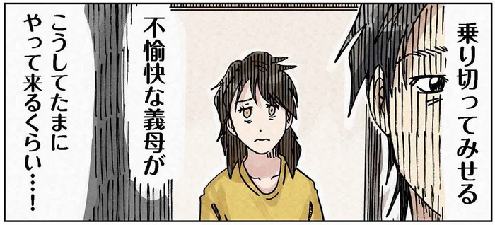 乗り切ってみせる！不愉快な義母のアポなし突撃／どちらかの家庭が崩壊する漫画1（17）