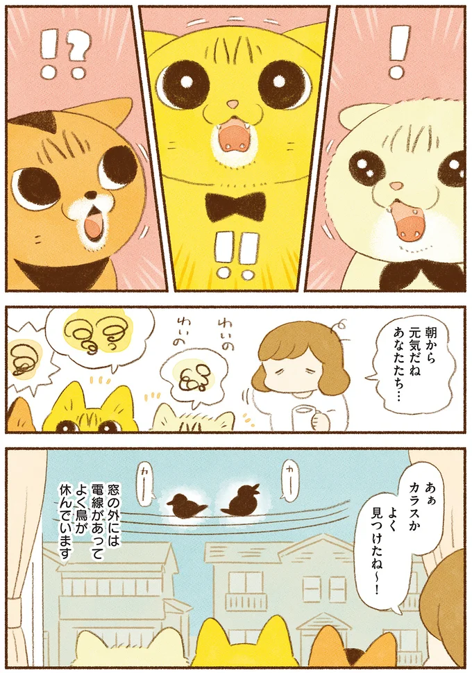 猫たちが見つけたのは