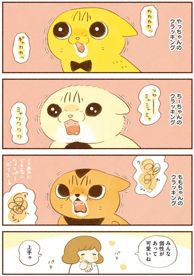 皆のクラッキング