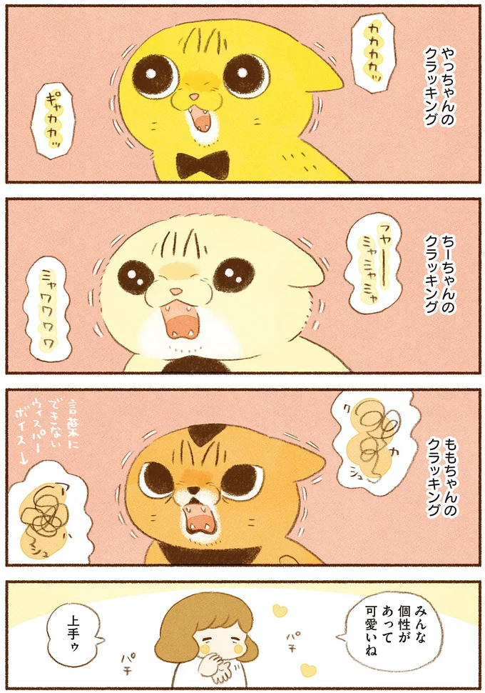 皆のクラッキング
