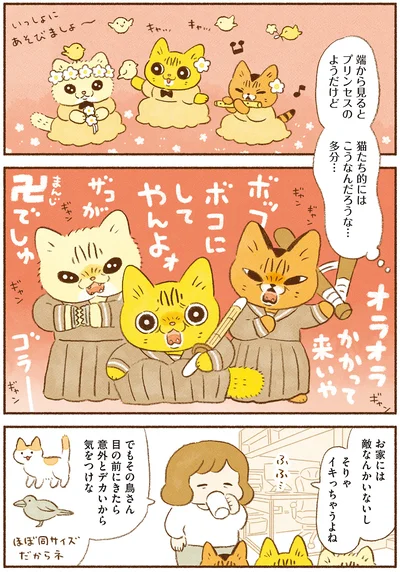 端から見るとプリンセスだけど