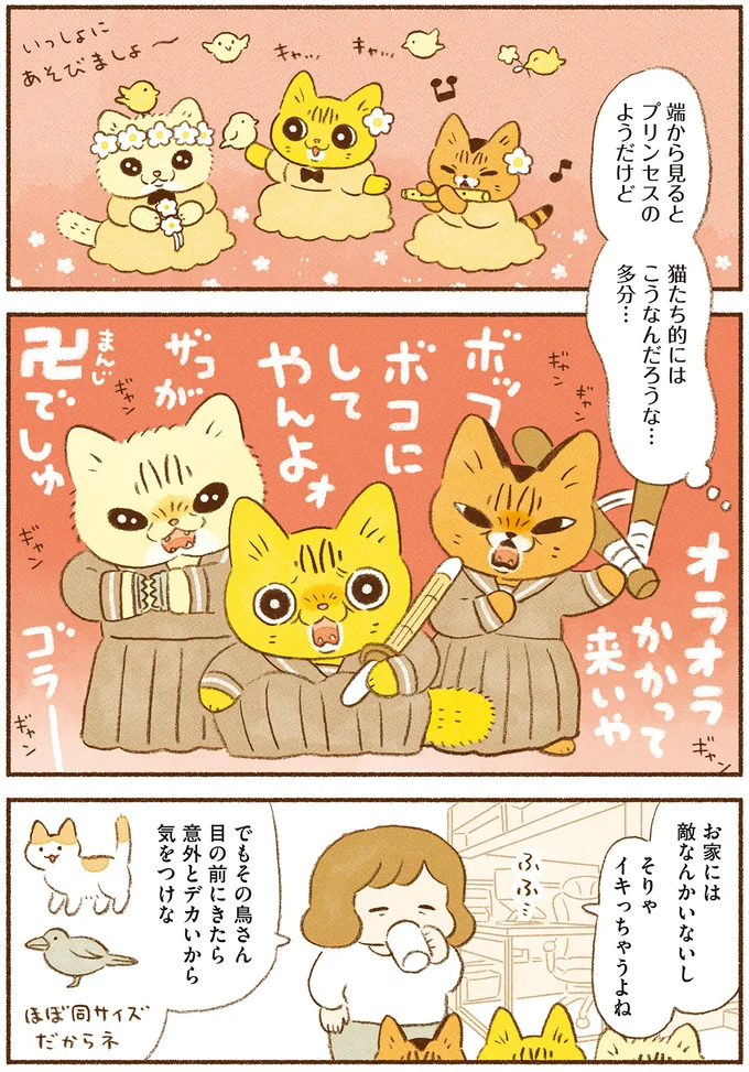 端から見るとプリンセスだけど