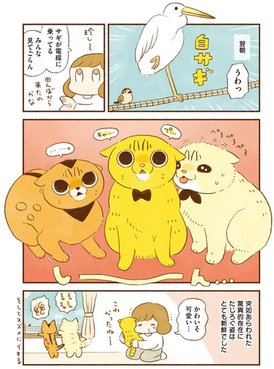 驚異的存在には…