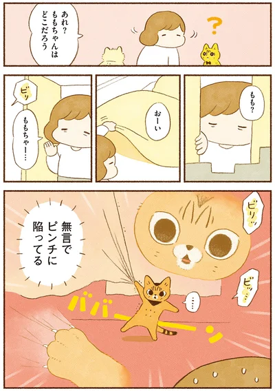 『しまねこ3姉妹と暮らしています 深まるきずな編』より