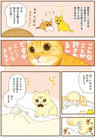 『しまねこ3姉妹と暮らしています 深まるきずな編』より