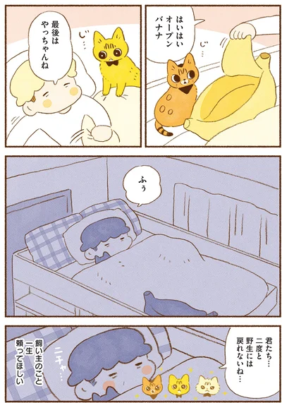 『しまねこ3姉妹と暮らしています 深まるきずな編』より