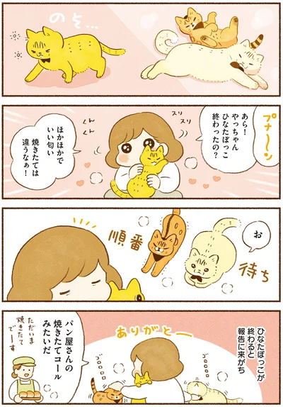 『しまねこ3姉妹と暮らしています 深まるきずな編』より