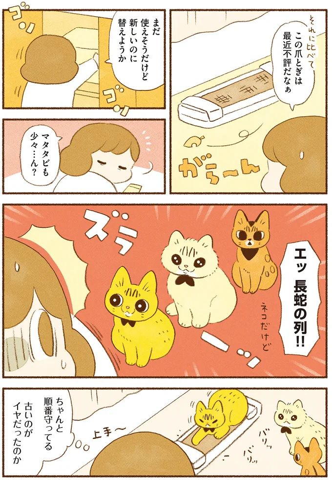 『しまねこ3姉妹と暮らしています 深まるきずな編』より