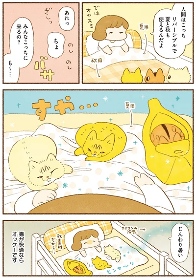 『しまねこ3姉妹と暮らしています 深まるきずな編』より