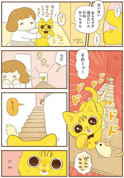 『しまねこ3姉妹と暮らしています 深まるきずな編』より