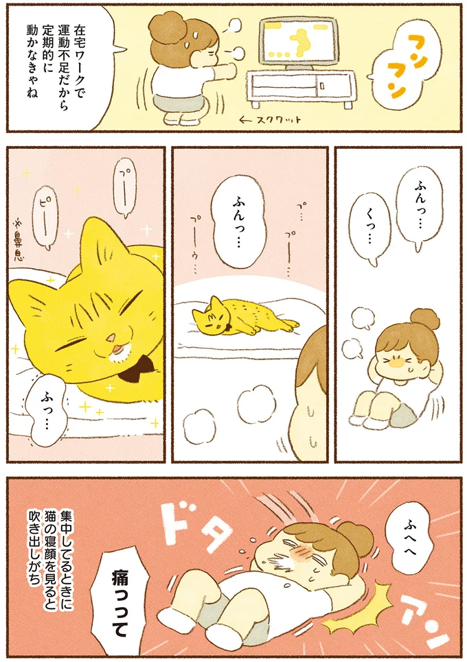 『しまねこ3姉妹と暮らしています 深まるきずな編』より