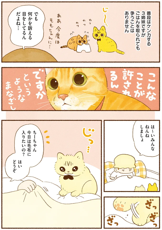 何かを訴える目