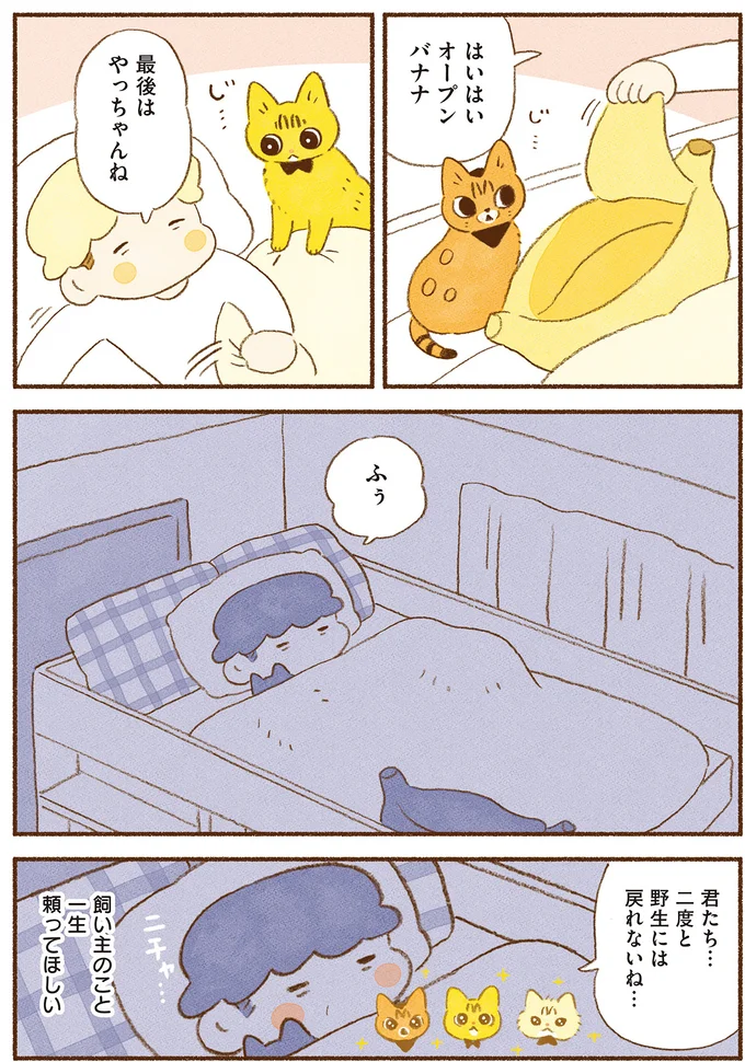 二度と野生には戻れないね…