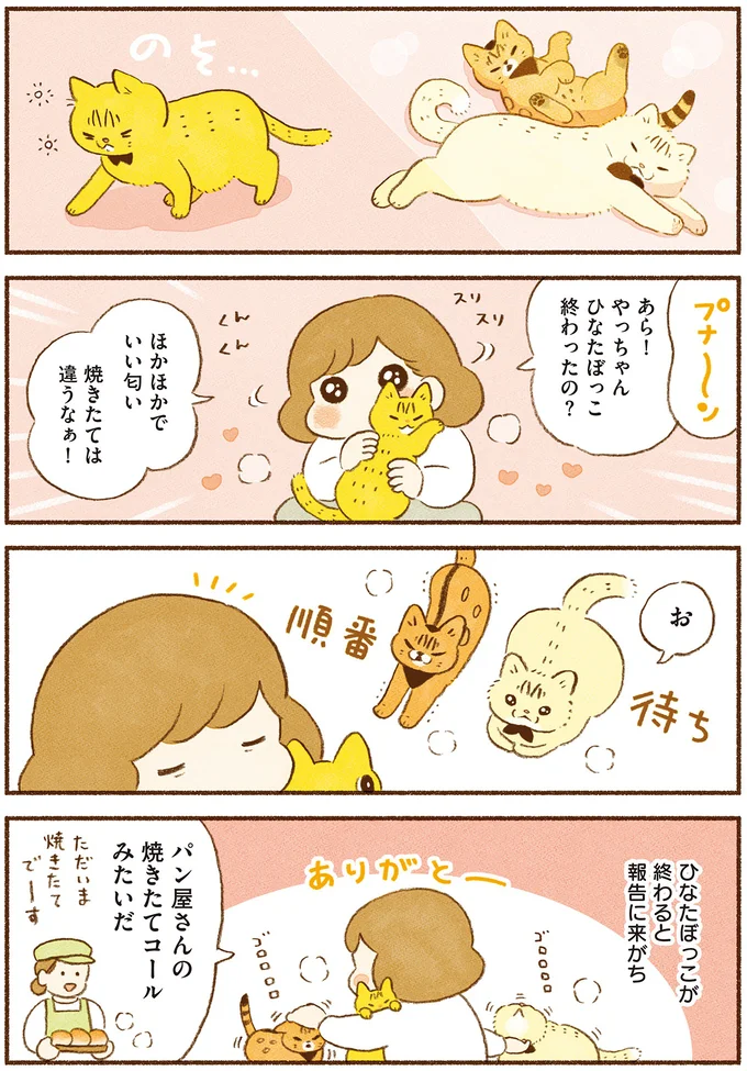 ひなたぼっこ後の猫たち