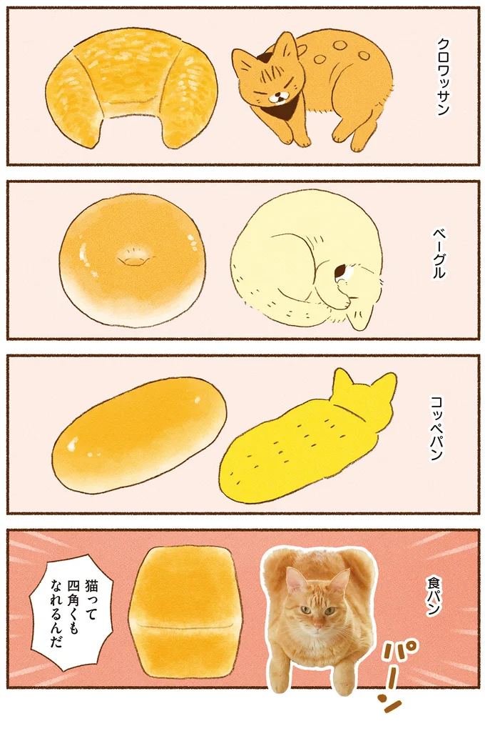 食パンにもなれちゃうのか！