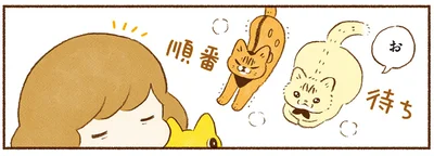 ほかほか猫の順番待ち