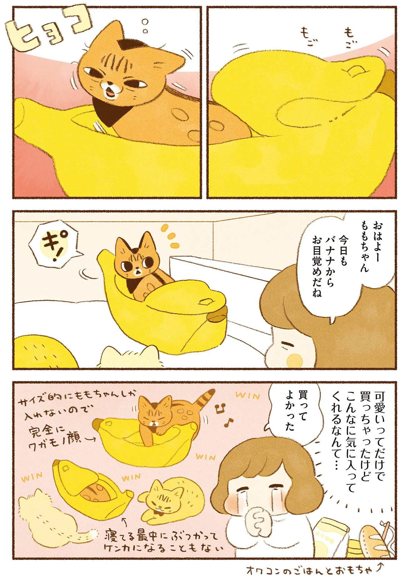 使っていただけて嬉しいです！ 飼い主が用意したアイテムを気に入って