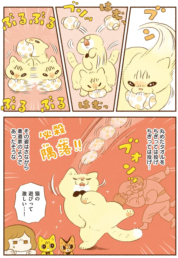 猫の遊びって激しい…！