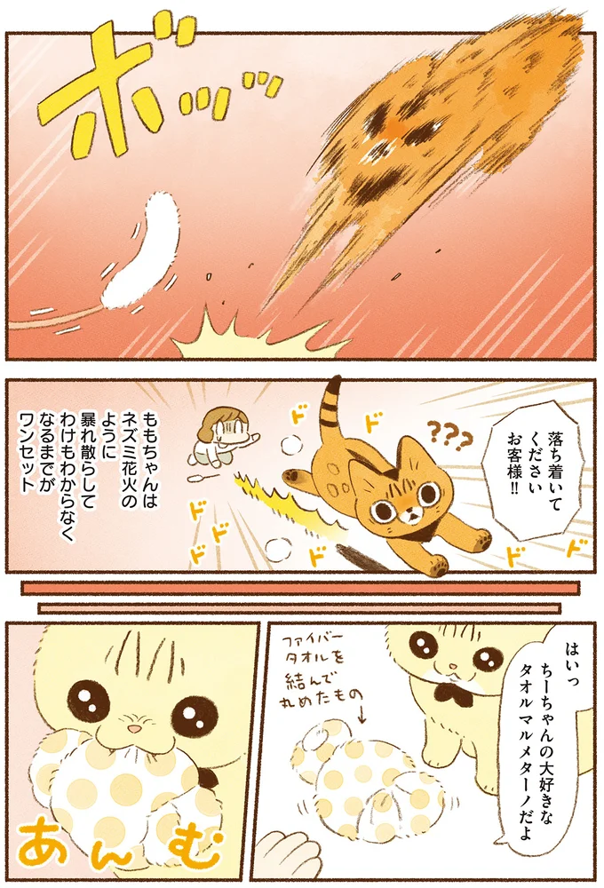 落ち着いてください！