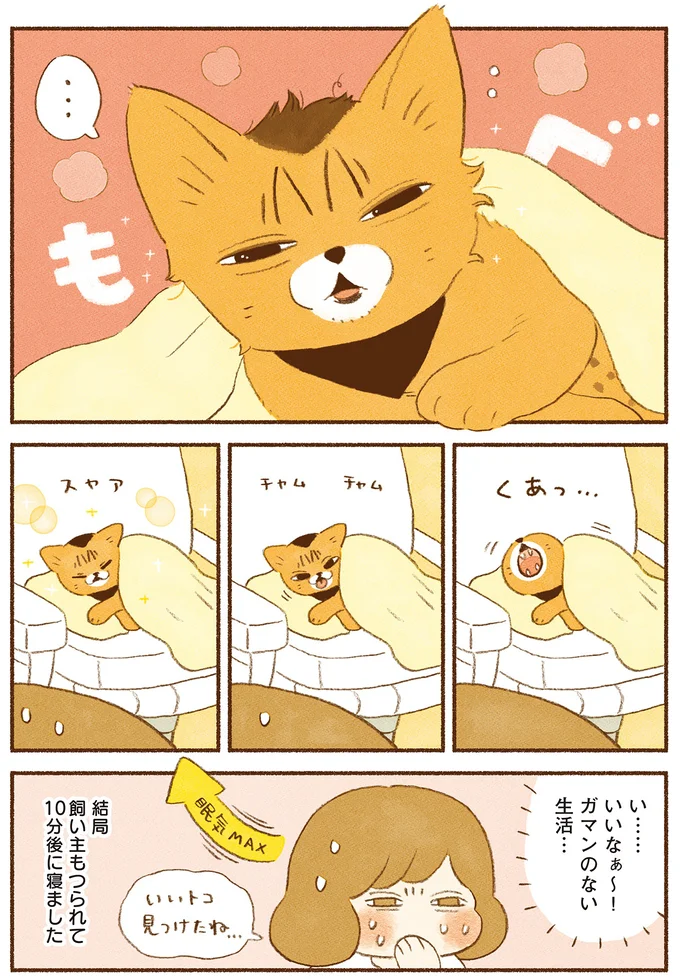 いいなぁ～！ガマンのない生活