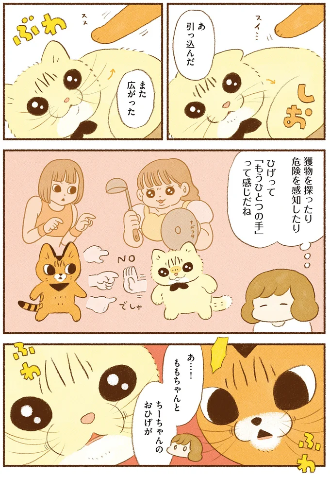 ひげって「もうひとつの手」って感じ