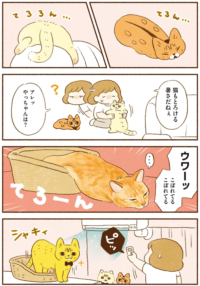 猫もとろける暑さだねぇ