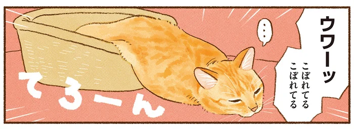 猫も暑さでとろけちゃう!? 様々な場所で自由に溶けてる光景がスゴい／しまねこ３姉妹と暮らしています（8）