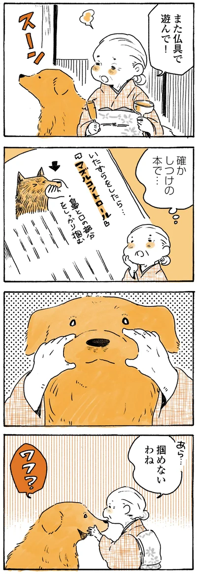 『姫ばあちゃんとナイト ふたりはきょうも』より