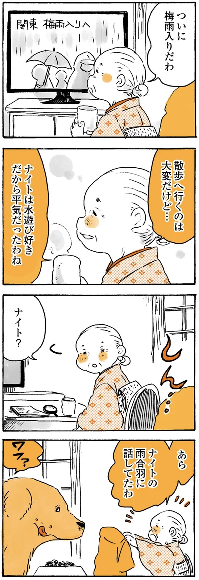 『姫ばあちゃんとナイト ふたりはきょうも』より