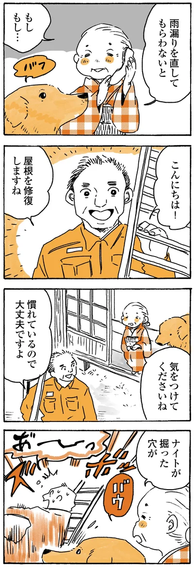 『姫ばあちゃんとナイト ふたりはきょうも』より