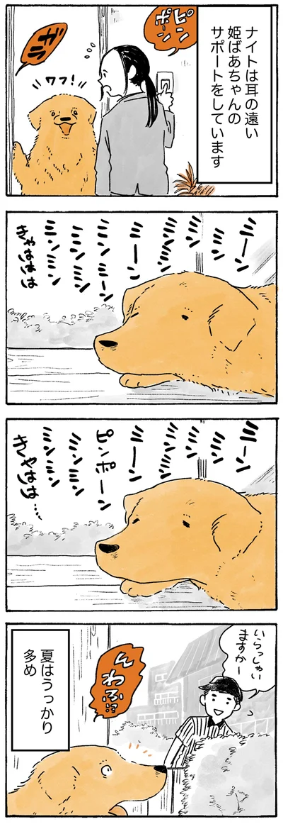 『姫ばあちゃんとナイト ふたりはきょうも』より