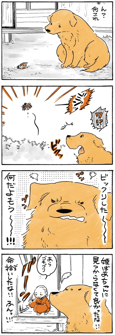 『姫ばあちゃんとナイト ふたりはきょうも』より