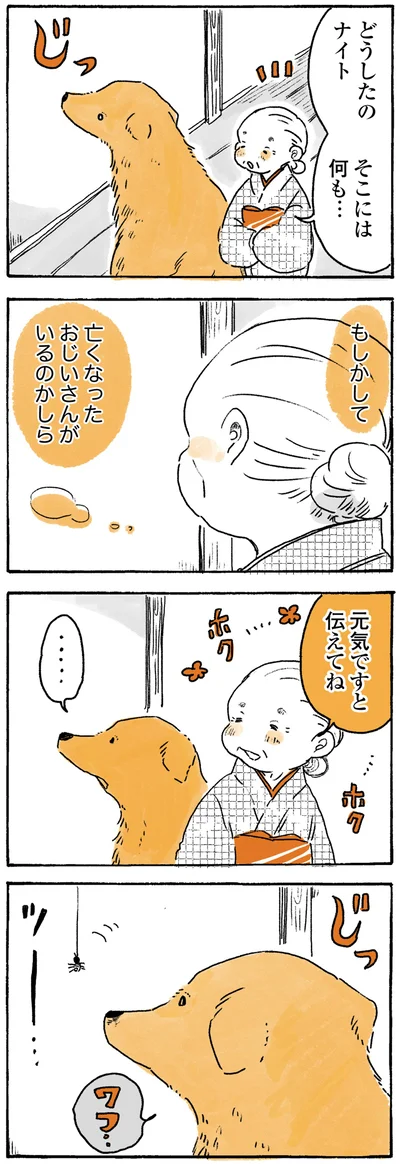 『姫ばあちゃんとナイト ふたりはきょうも』より