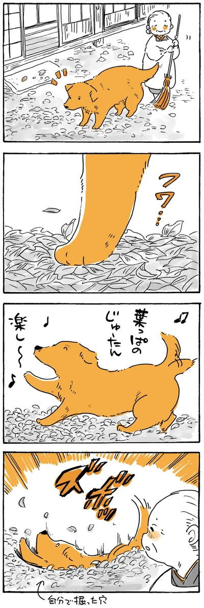 『姫ばあちゃんとナイト ふたりはきょうも』より
