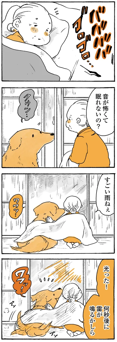 『姫ばあちゃんとナイト ふたりはきょうも』より